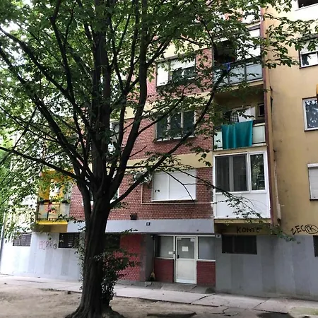 Lavanda * Novi Sad