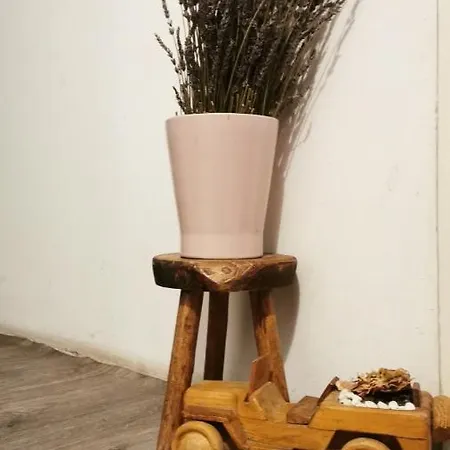 Lavanda Daire